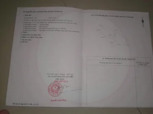 đất lúa cần giuộc