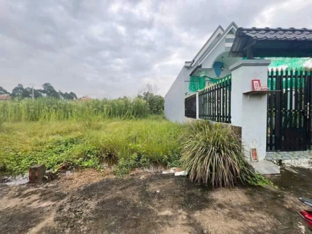 đất thổ cư cần giuộc